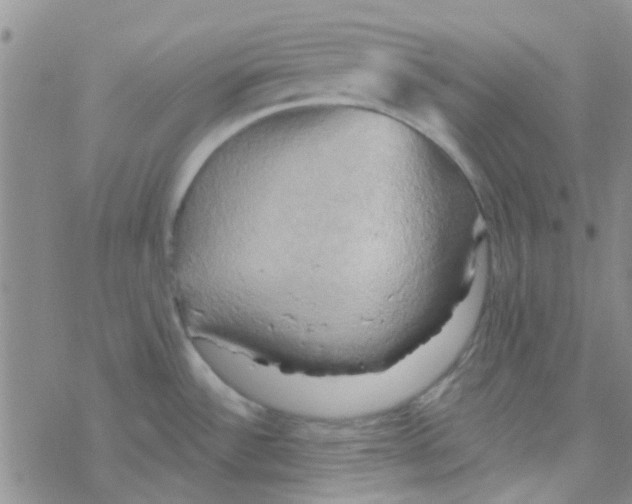X0000068321532200605192020