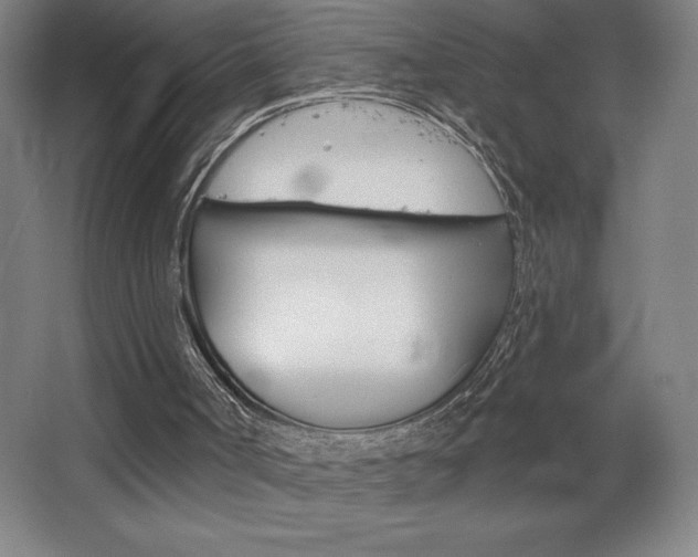 X0000068720002200604280936