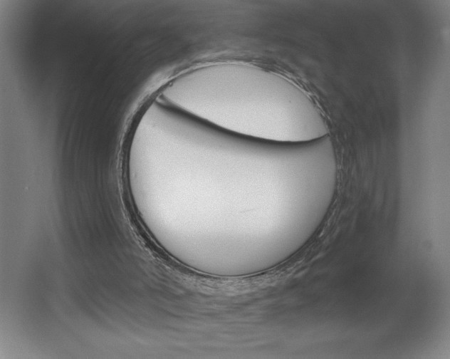 X0000068720006200604280936