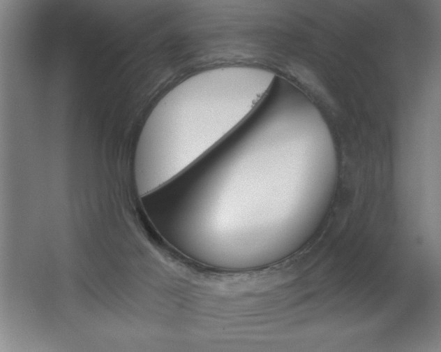 X0000068720021200604280936