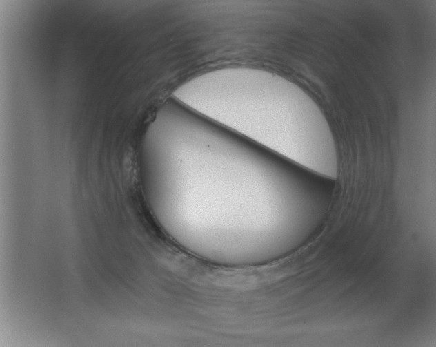 X0000068720029200604280936