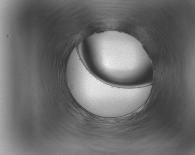 X0000068720045200604280935