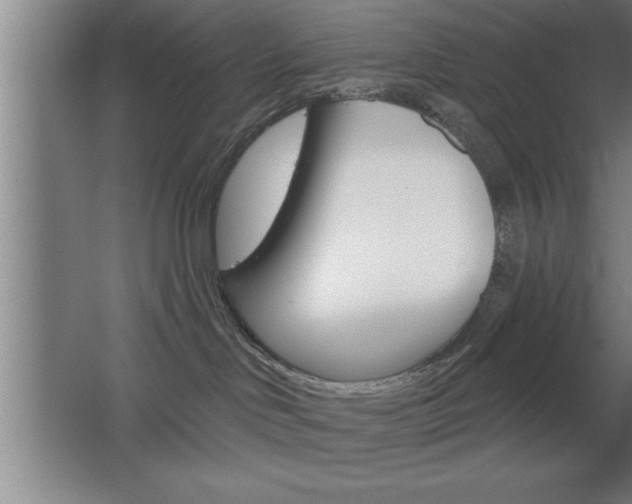 X0000068720046200604280935