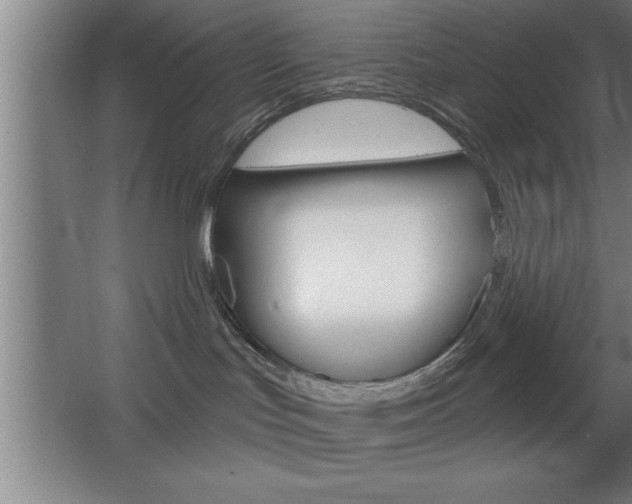 X0000068720047200604280935