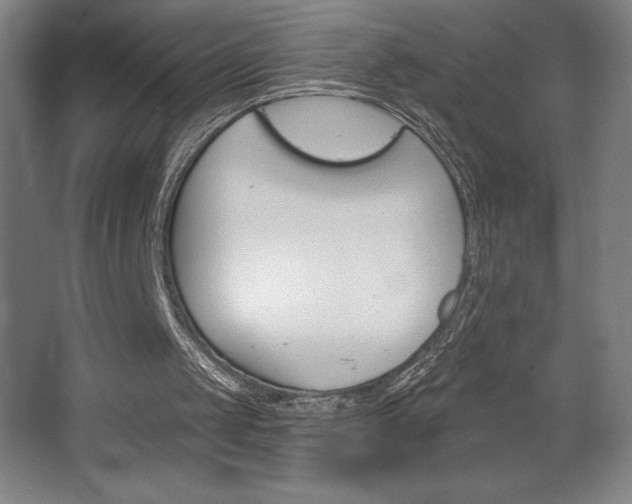 X0000068720049200604280934