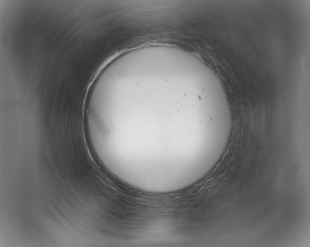 X0000068720052200604280935
