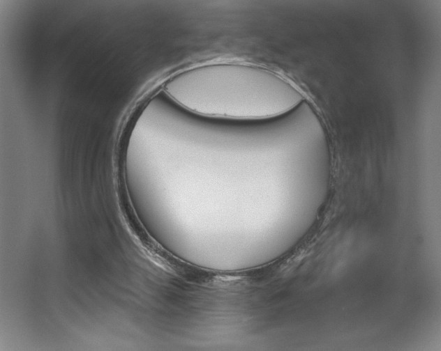 X0000068720055200604280935