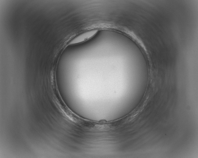 X0000068720057200604280935