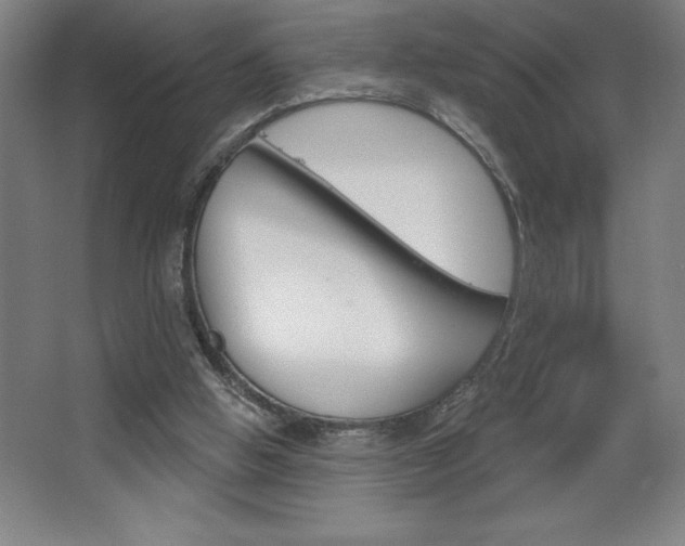 X0000068720058200604280935