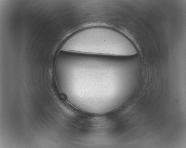 X0000068720063200604280935