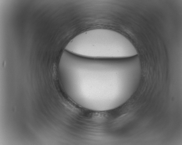 X0000068720077200604280935