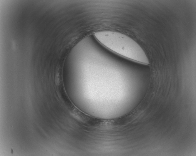 X0000068720080200604280935