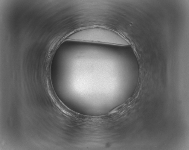 X0000068720097200604280934