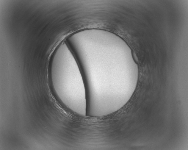 X0000068720098200604280934