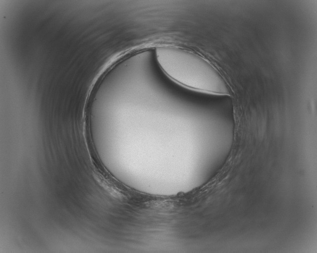 X0000068720100200604280934