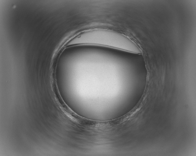 X0000068720101200604280934