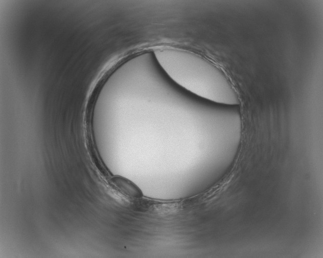 X0000068720102200604280934