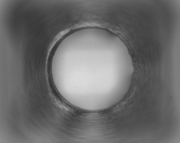 X0000068720104200604280934