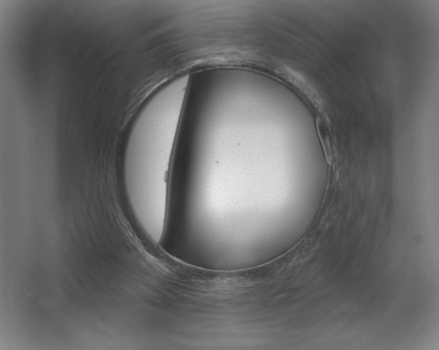 X0000068720105200604280934