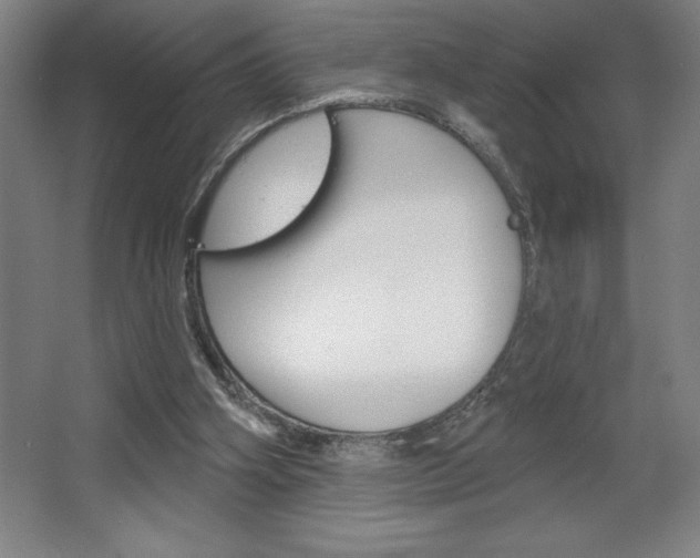 X0000068720106200604280934