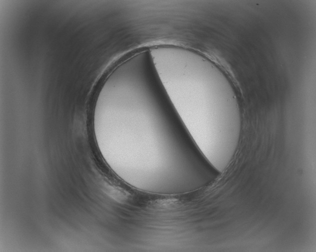 X0000068720108200604280934