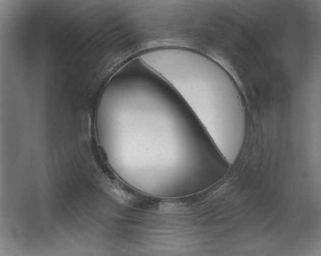 X0000068720109200604280934