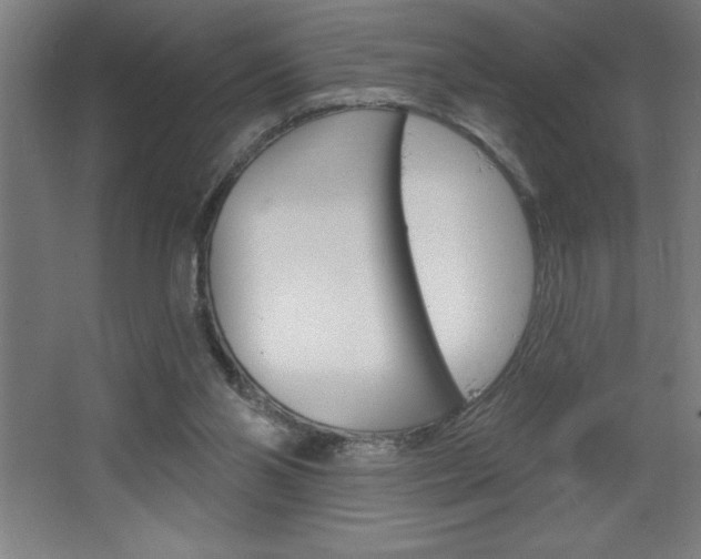 X0000068720110200604280934