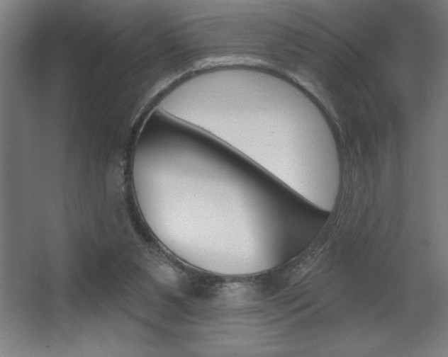 X0000068720111200604280934