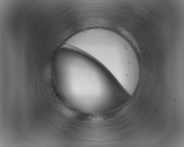 X0000068720113200604280934