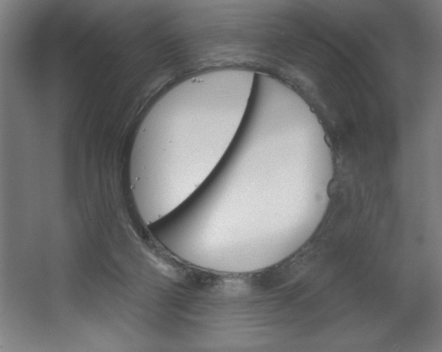 X0000068720114200604280934