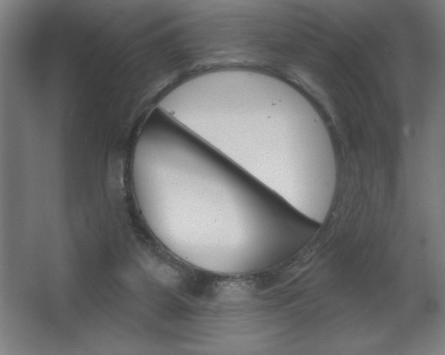 X0000068720115200604280934