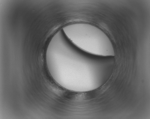 X0000068720116200604280934