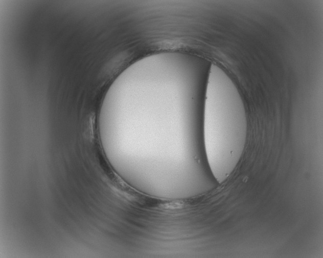 X0000068720118200604280934