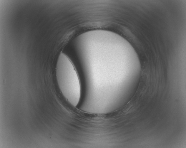 X0000068720119200604280934