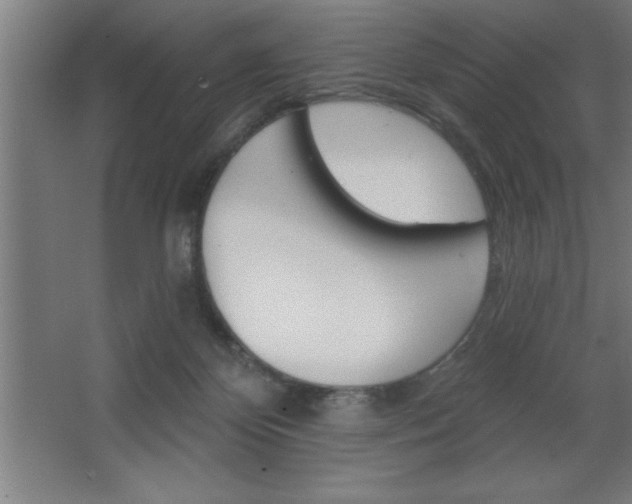 X0000068720124200604280934