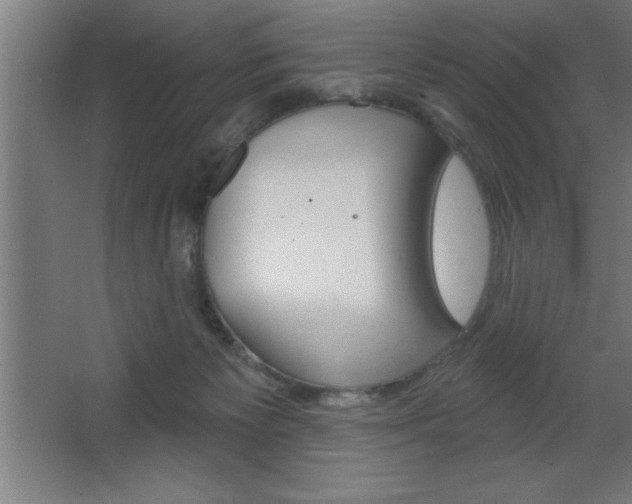X0000068720125200604280934