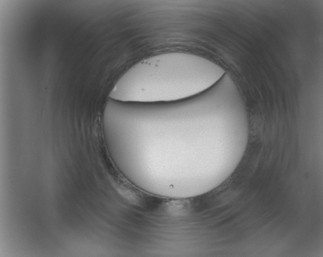 X0000068720126200604280934