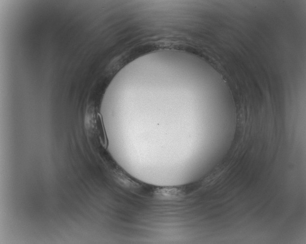 X0000068720137200604280934