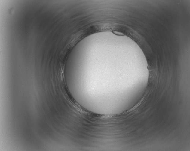 X0000068720142200604280934