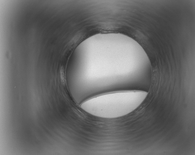 X0000068720143200604280934