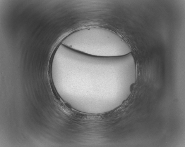 X0000068720147200604280933