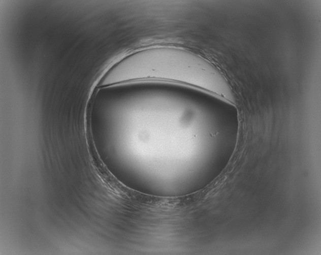 X0000068720148200604280933