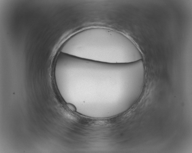 X0000068720151200604280933