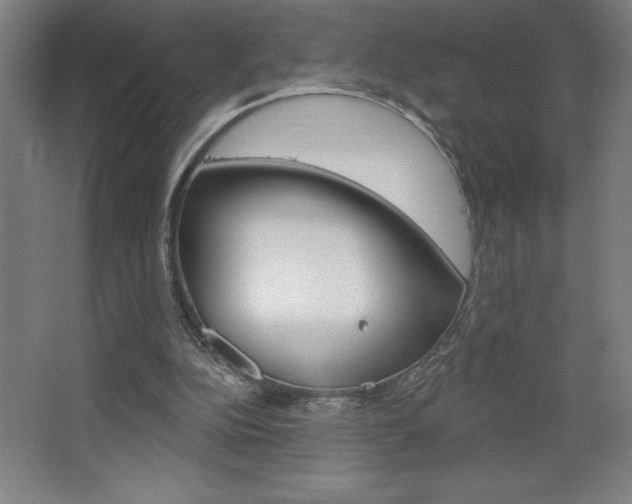 X0000068720152200604280933