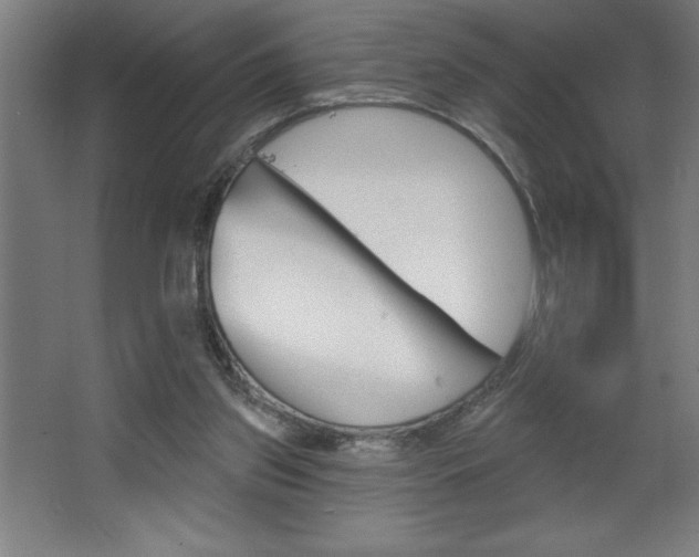 X0000068720157200604280933