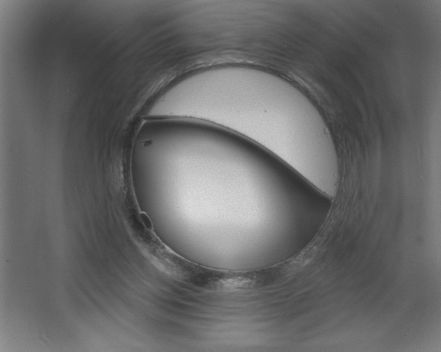X0000068720158200604280933