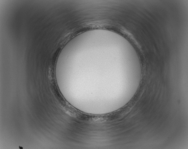 X0000068720161200604280933