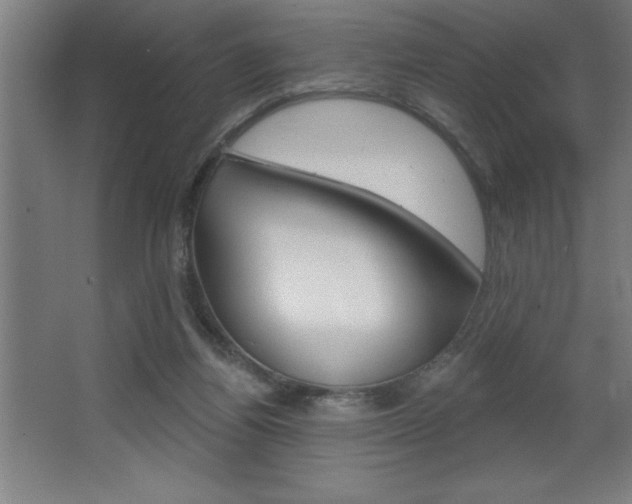 X0000068720164200604280933