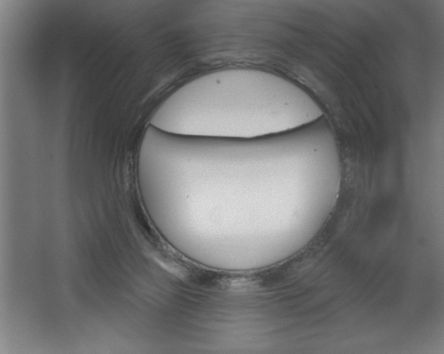 X0000068720165200604280933
