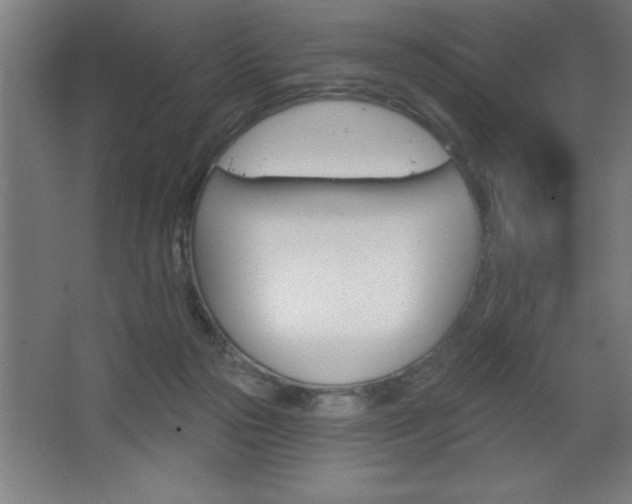 X0000068720169200604280933